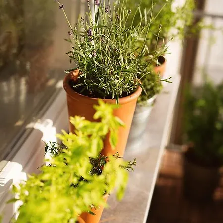 Garden 류블랴나