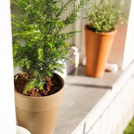 아파트 Garden 류블랴나