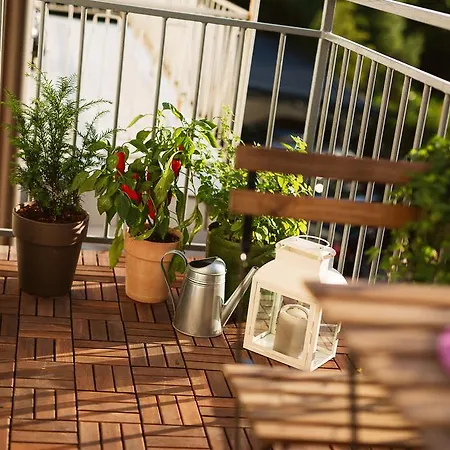 Garden *